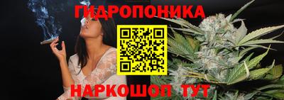 каннабис Кингисепп